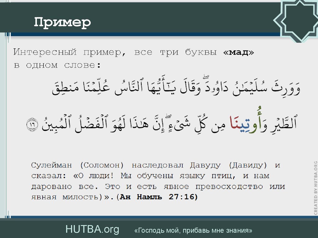 Таджвид коран. Таджвид чтение Корана. Правила таджвида чтения Корана. Таджвид. Правила чтения Корана. Правила чтения Корана на русском.